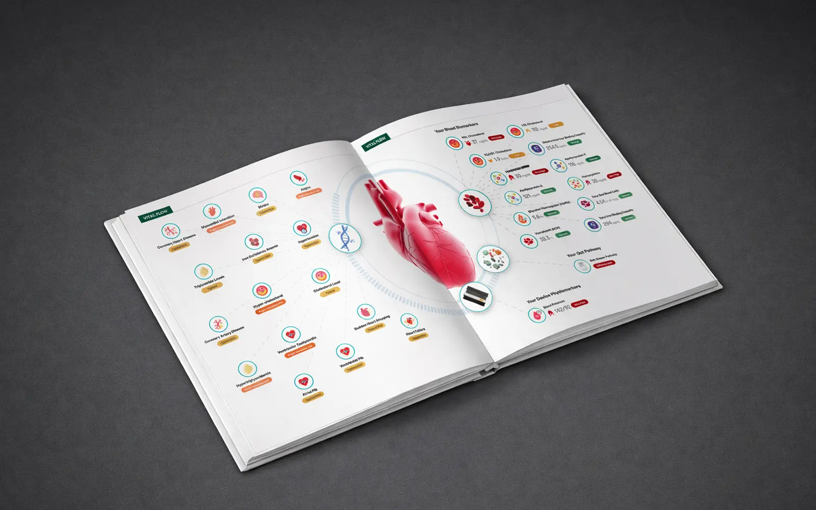 The Human Token physical book