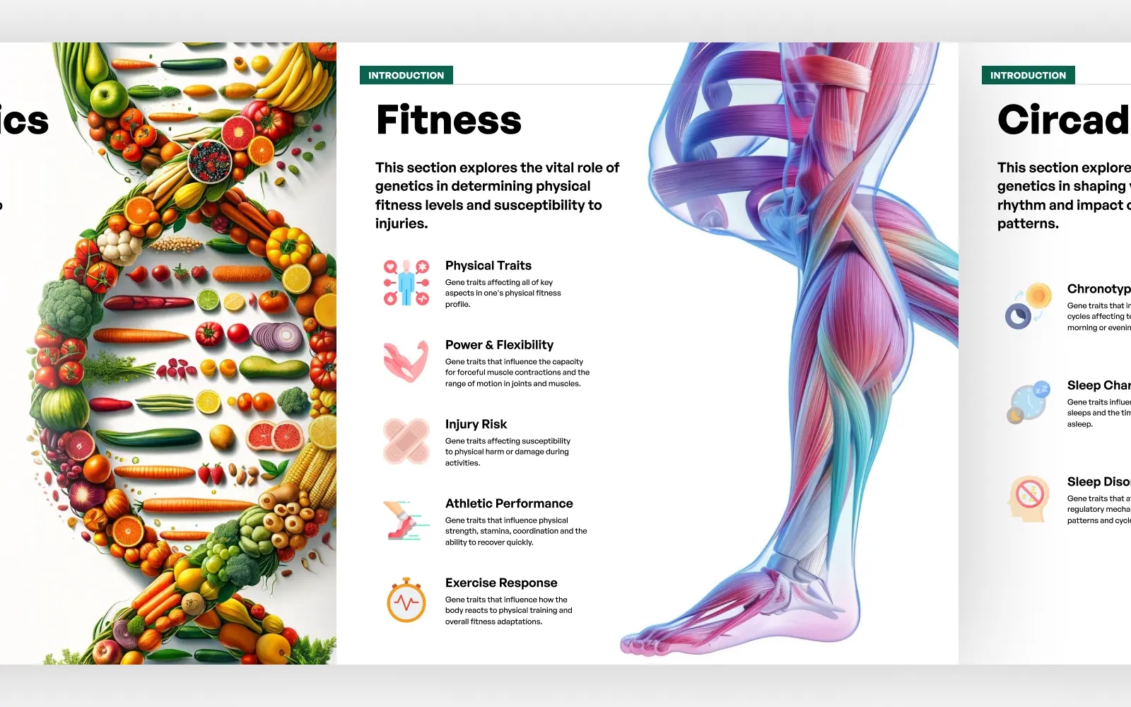 The Human Token physical book