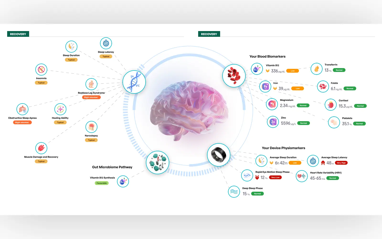 The Human Token physical book