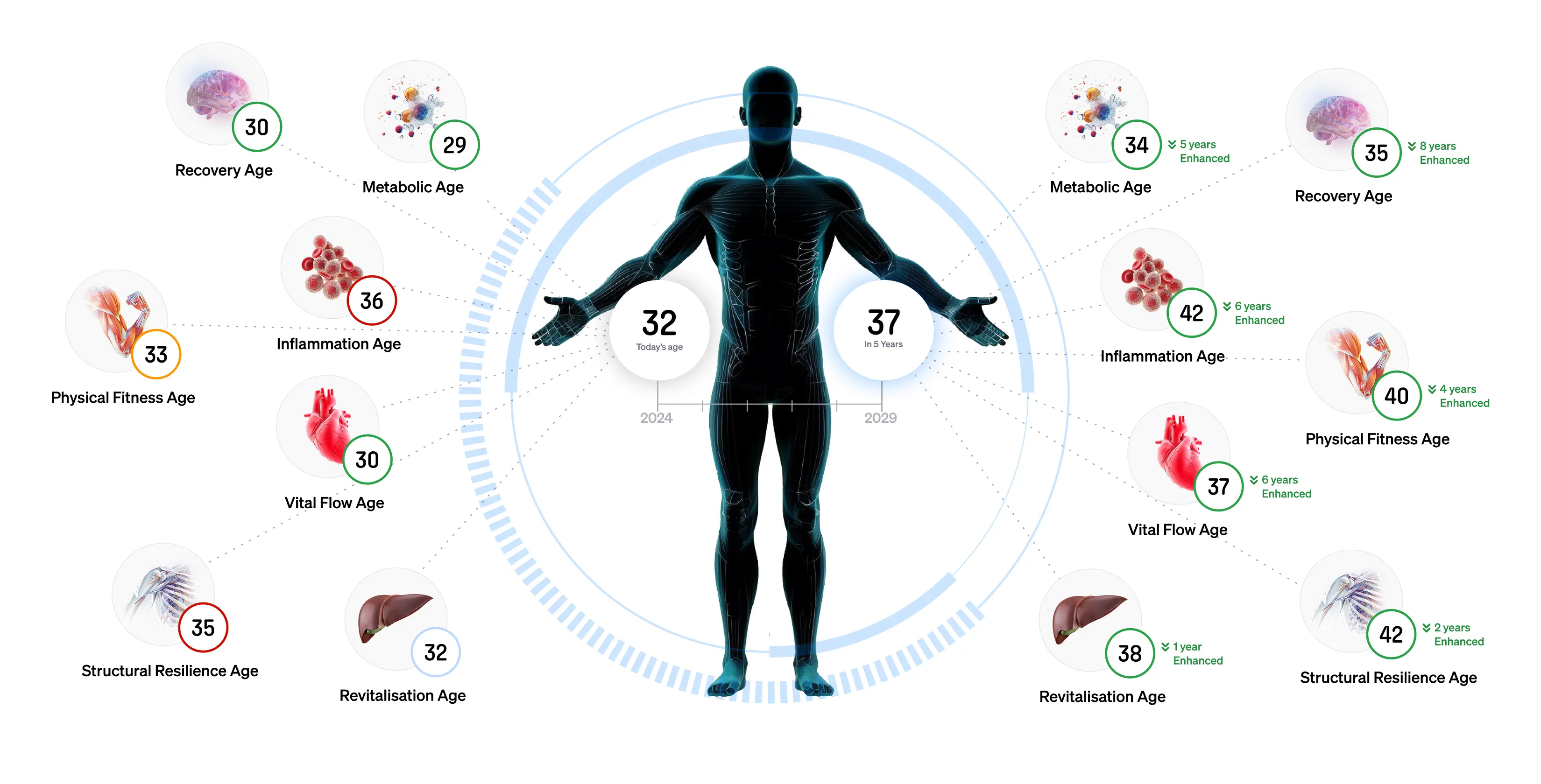 Aging algorithm visualisation